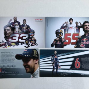 Set of 4 Red Bull Racing / Toro Rosso Driver Cards / Post Cards from the Sports Car Racing Books store collection.